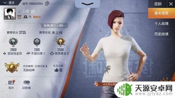和平精英怎么在电脑上玩不了怎么办