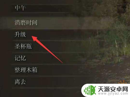 艾尔登法环怎么升级人物属性