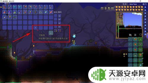 泰拉瑞亚海盗船怎么召唤