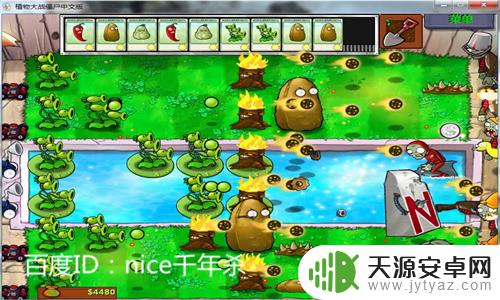 植物大战僵尸传送带怎么过关