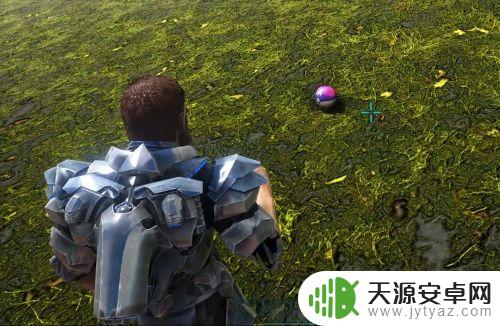 方舟生存进化收纳球怎么做