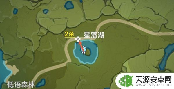 原神风车菊的位置