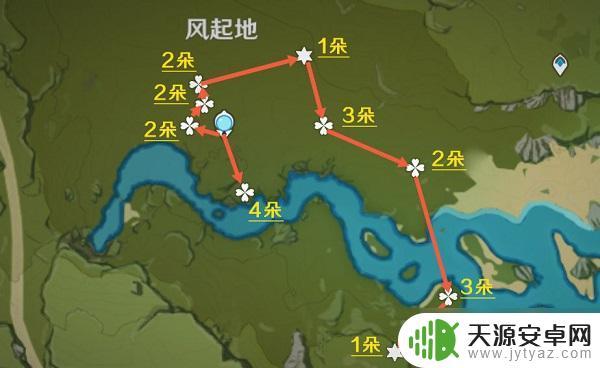 原神风车菊的位置