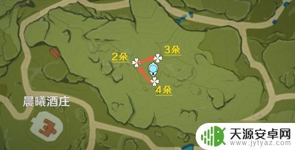 原神风车菊的位置