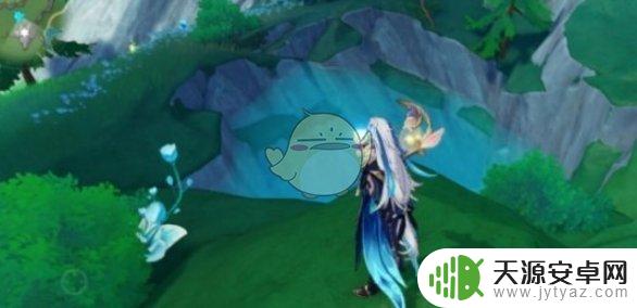 原神幽林枝位置分布大全