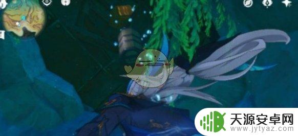 原神幽林枝位置分布大全