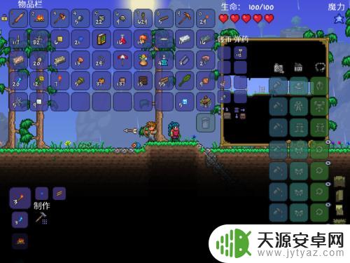 泰拉瑞亚设置在哪