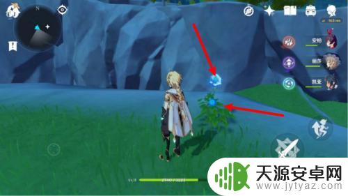 原神冰雾花怎么开花