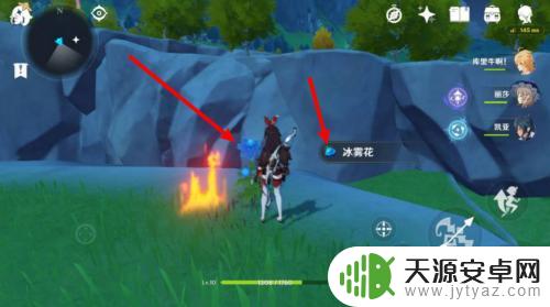 原神冰雾花怎么开花