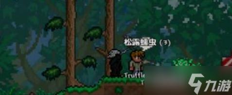 泰拉瑞亚怎么抓捕松露虫