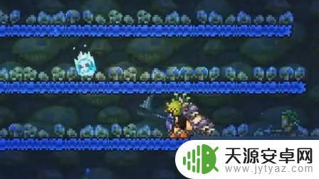 泰拉瑞亚怎么抓捕松露虫