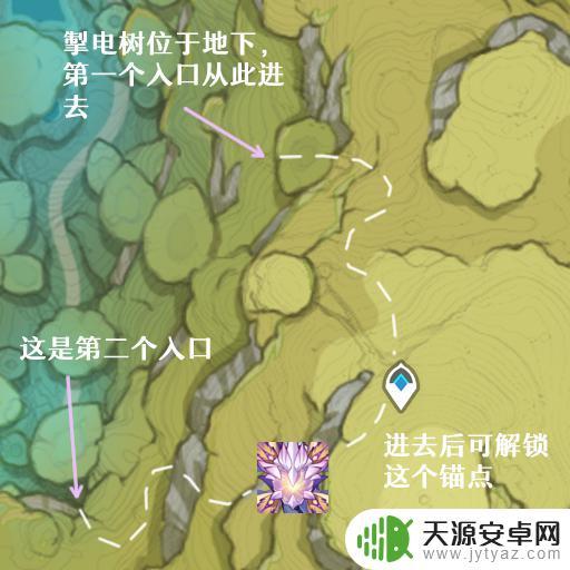 原神雷花在哪里