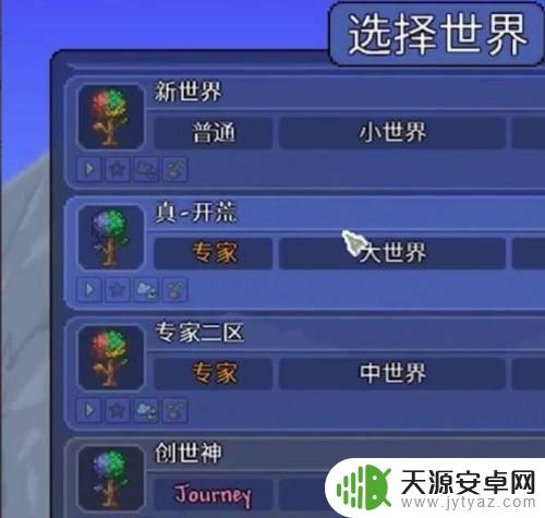 泰拉瑞亚在哪里写种子