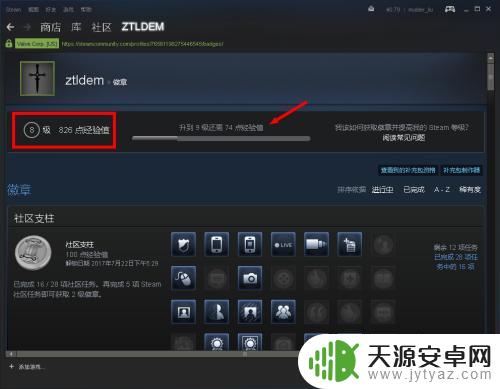 steam荣誉勋章怎么查看