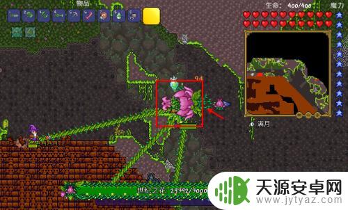泰拉瑞亚神庙机关怎么挖走