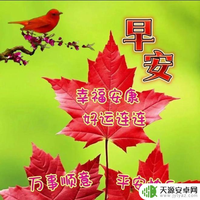 2023精美早安图片 2023年12月29日精美早安祝福图片分享