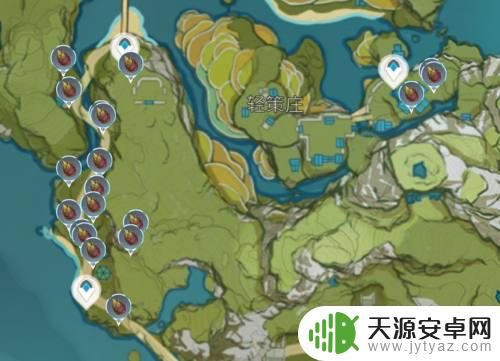 原神竹节在哪儿 原神竹节采集地点