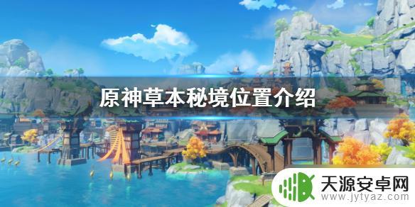 原神草本在哪里 《原神》草本秘境在哪可以找到