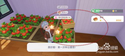 心动小镇怎么触发丰收 心动小镇作物成熟如何收获