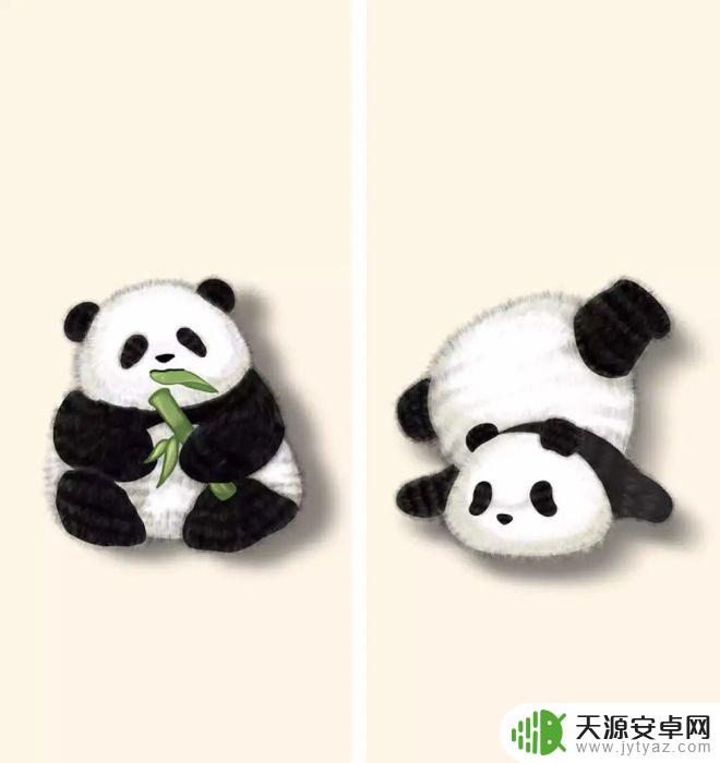 花花熊猫壁纸手机壁纸 萌翻了的熊猫花花