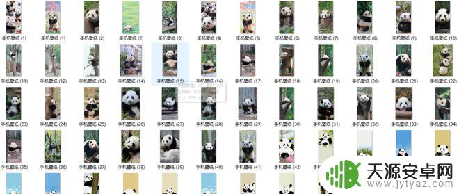 花花熊猫壁纸手机壁纸 萌翻了的熊猫花花