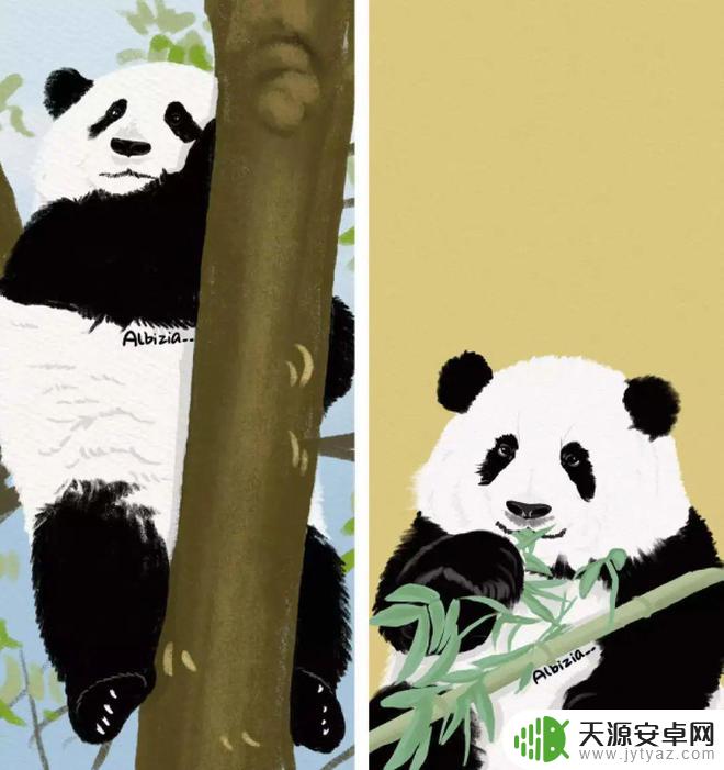 花花熊猫壁纸手机壁纸 萌翻了的熊猫花花