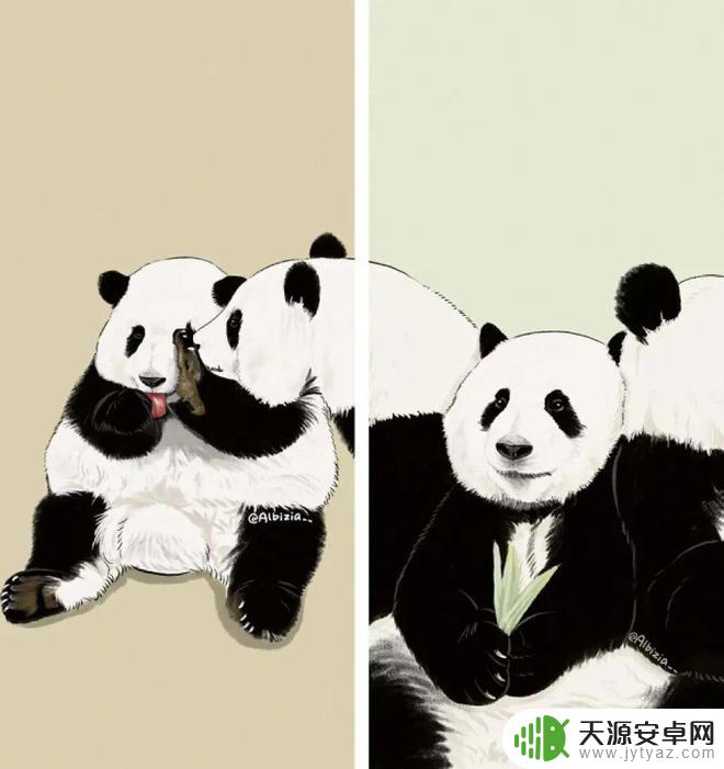 花花熊猫壁纸手机壁纸 萌翻了的熊猫花花