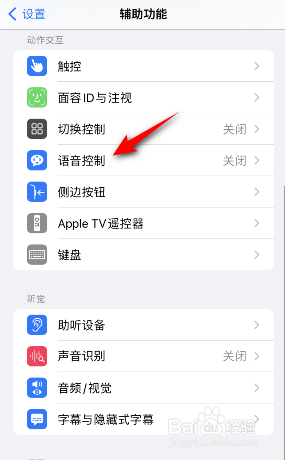 苹果手机语音功能怎么开启 苹果手机语音控制开启方法