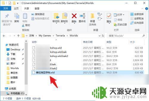 泰拉瑞亚文件怎么导入 泰拉瑞亚存档导入Steam版教程