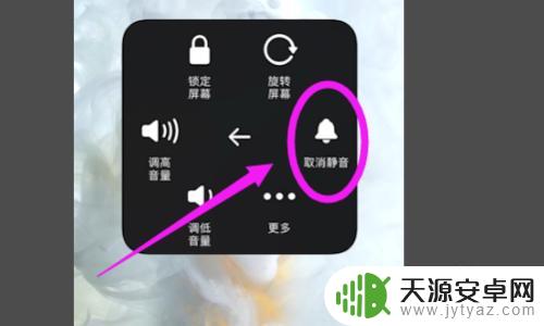 手机连接车载carplay没声音 苹果手机连接carplay没声音如何解决