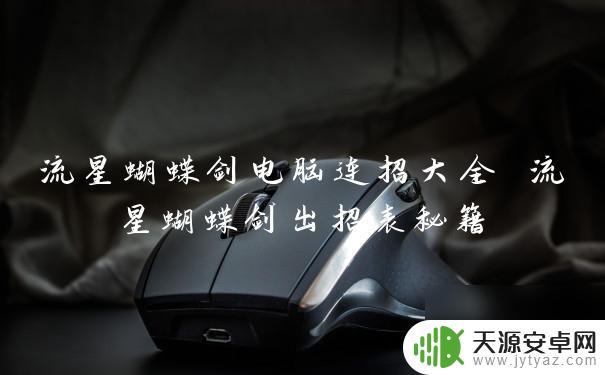 流星蝴蝶剑秘籍大全(完整版) 流星蝴蝶剑电脑连招技巧