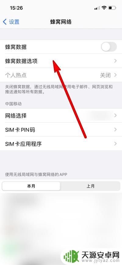 怎么看苹果手机是5G手机 iPhone如何查看是否支持5G功能