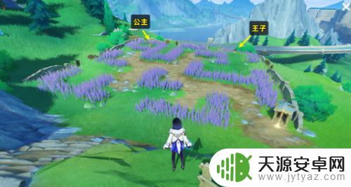 原神王子公主勇士在哪 原神让勇士王子和公主回家攻略心得分享