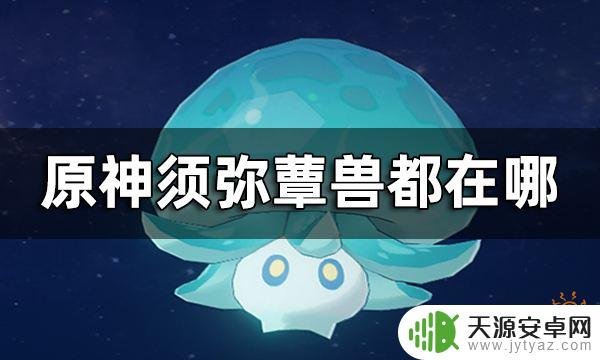 原神蕈兽 原神蕈兽位置路线一览