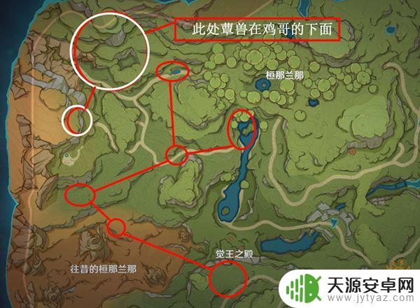 原神蕈兽 原神蕈兽位置路线一览