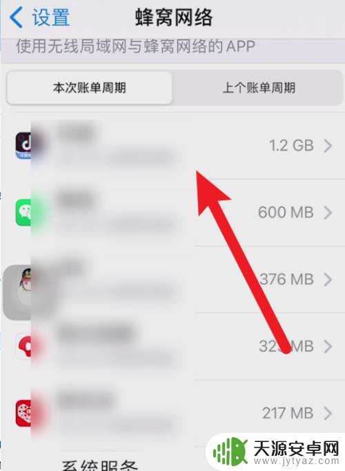 iphone流量管理在哪里 iPhone流量管理设置在哪里