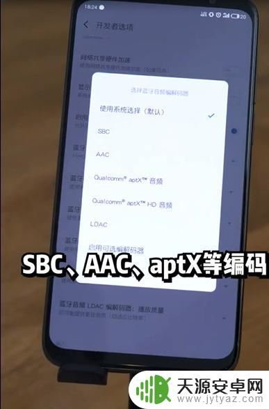 怎么看手机支持的蓝牙音频编码 如何查看手机支持的蓝牙编码