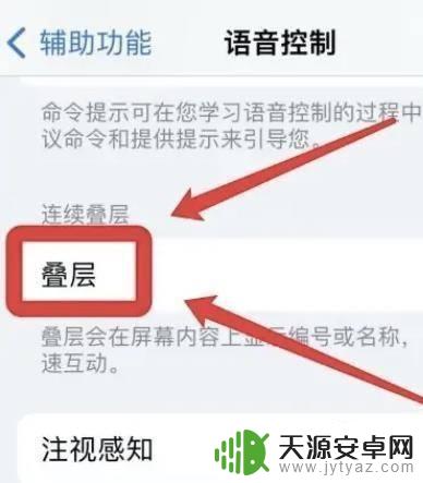 怎样取消苹果手机屏幕上的折叠 iPhone手机如何关闭叠层功能