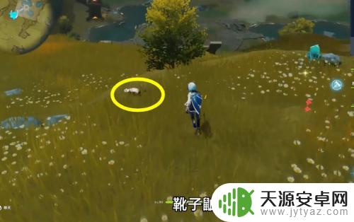 原神靴子鼬怎么打 原神靴子鼬位置怎么找