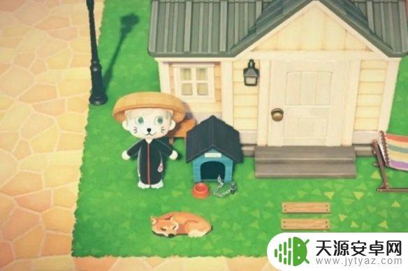 森之国度怎么让宠物跟随 森之国度跟从的猫交换方法介绍