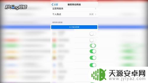 苹果手机数据连接在哪里 怎样在苹果手机上开启和关闭移动数据
