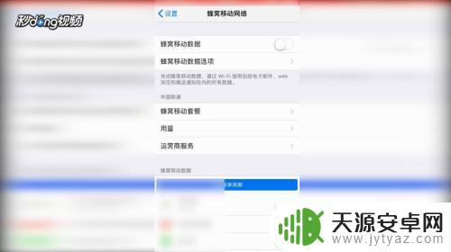 苹果手机数据连接在哪里 怎样在苹果手机上开启和关闭移动数据