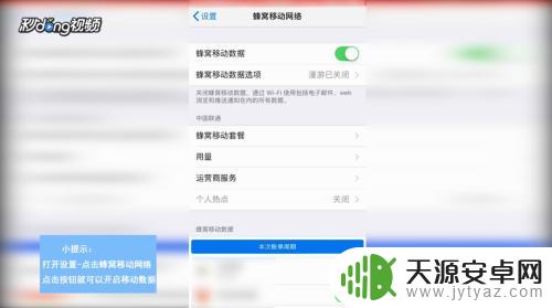 苹果手机数据连接在哪里 怎样在苹果手机上开启和关闭移动数据