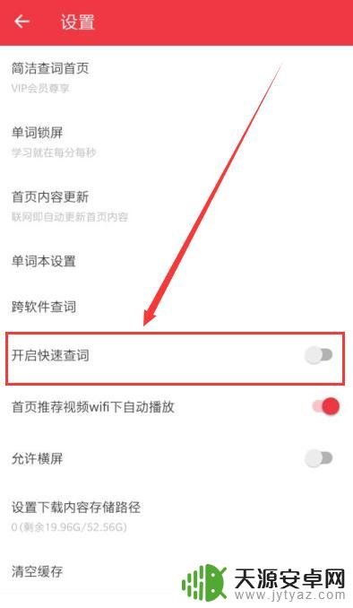 如何查手机有道词典 如何在网易有道词典中开启快速查询功能