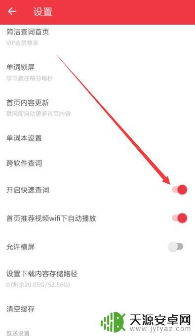 如何查手机有道词典 如何在网易有道词典中开启快速查询功能