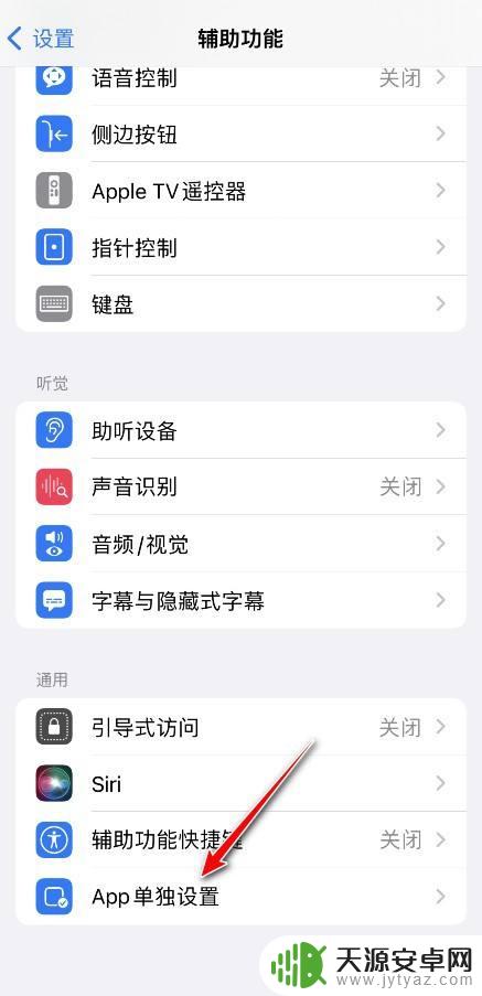 苹果手机app字体大小怎么设置方法 iPhone如何单独设置应用字体大小