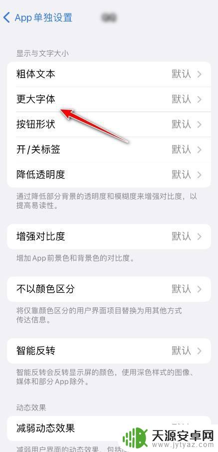 苹果手机app字体大小怎么设置方法 iPhone如何单独设置应用字体大小