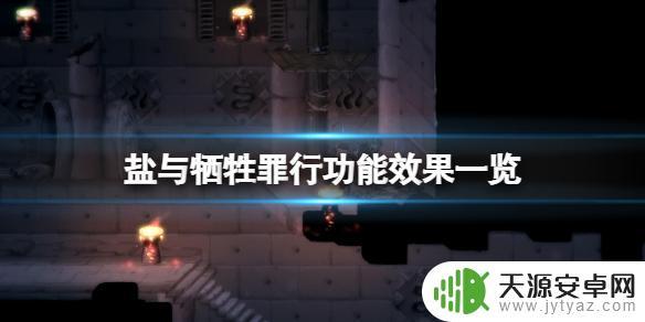 盐与献祭罪行选什么好 《盐与献祭》罪行功能效果详解