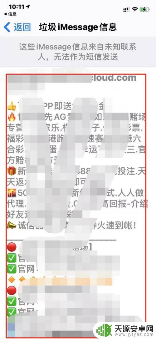 怎么查阅手机垃圾明细 如何在苹果手机上查看垃圾信息