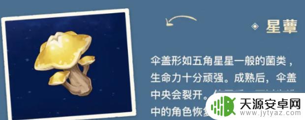星覃原神作用 原神星蕈有什么作用
